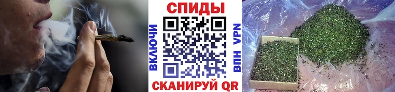 сколько стоит  MEGA вход  Бутират BDO  Миньяр 