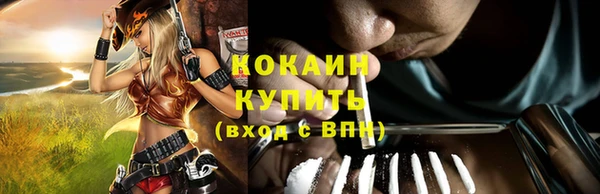 СК Гусь-Хрустальный