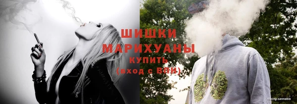 СК Гусь-Хрустальный