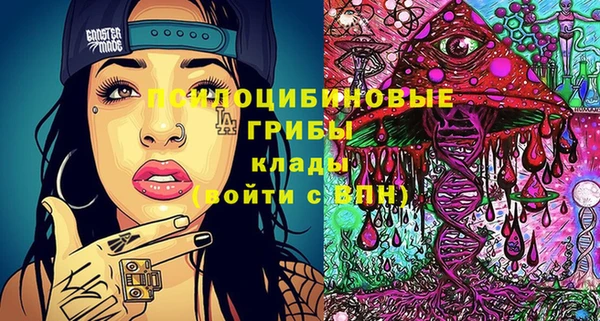 стаф Гусиноозёрск