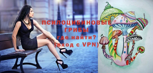 стаф Гусиноозёрск