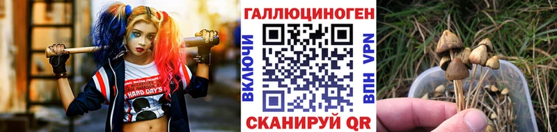 Псилоцибиновые грибы прущие грибы  где найти   Миньяр 